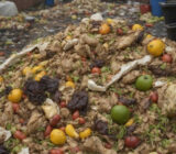 Food Waste Cretarecycling